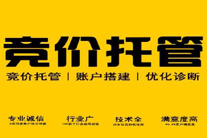 SEM公司案例解析：搜索引擎营销策略与执行